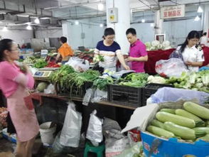 舌尖上的安全盾牌 我市全面開展食用農產品批發環節食品安全抽檢